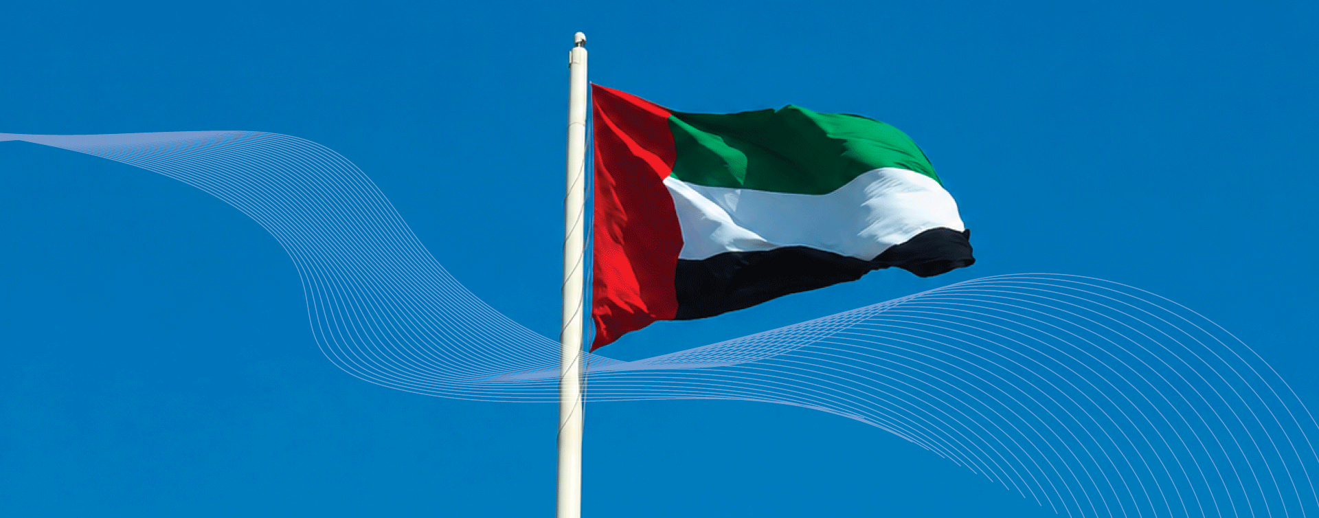 الصفحة الرئيسية