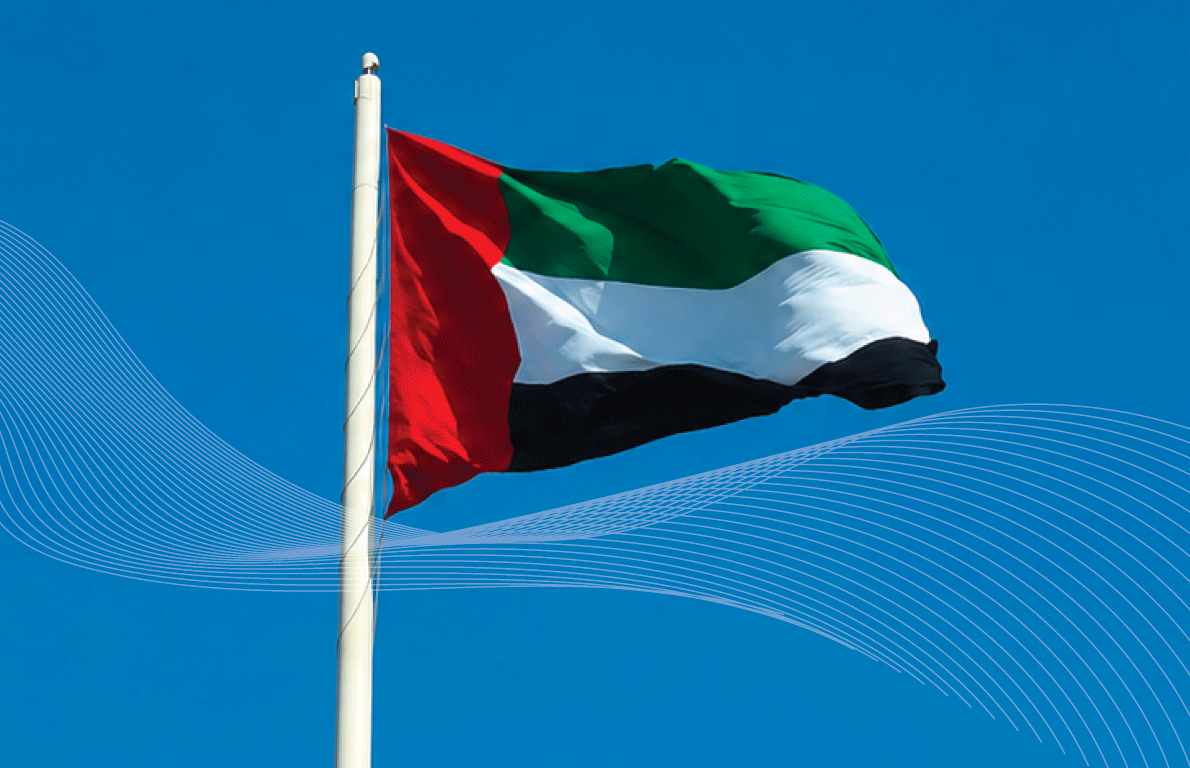 الصفحة الرئيسية